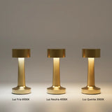 Luminária de Mesa LED Sem Fio - Casas Gael