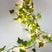 Planta decorativa com LED - Casas Gael